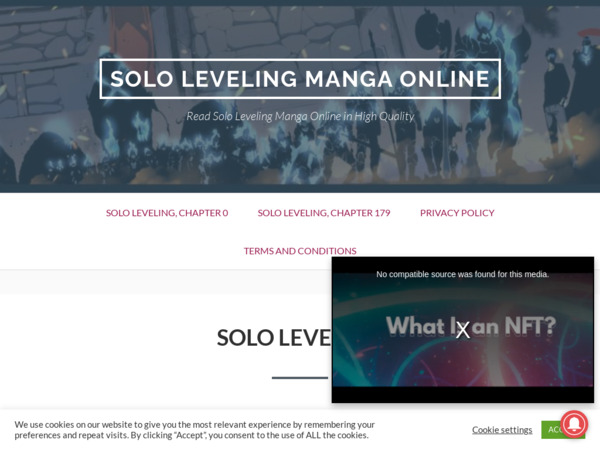 levelingsolo.com