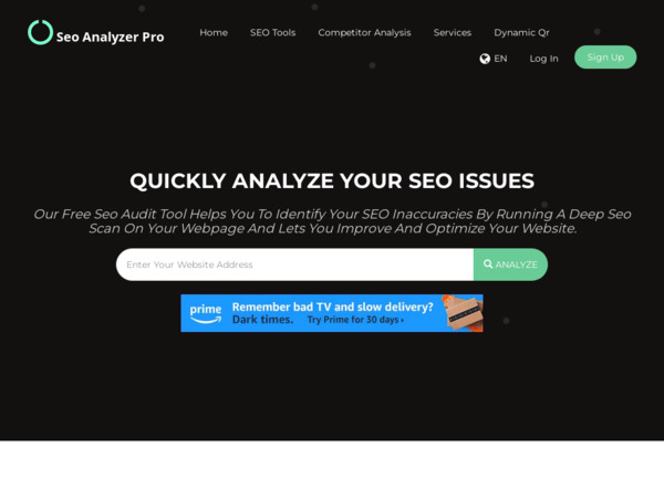 seoanalyzer.pro