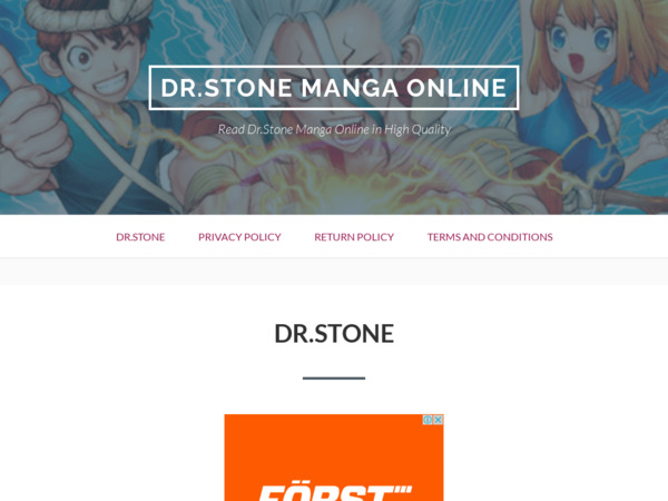 stone-dr.com